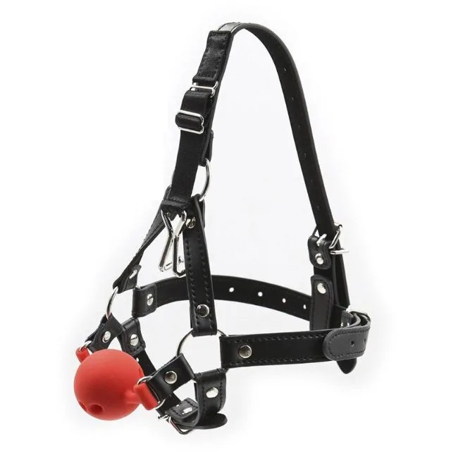 Le Guide Ultime des Ball Gag - Découvrez et Maîtrisez les ...