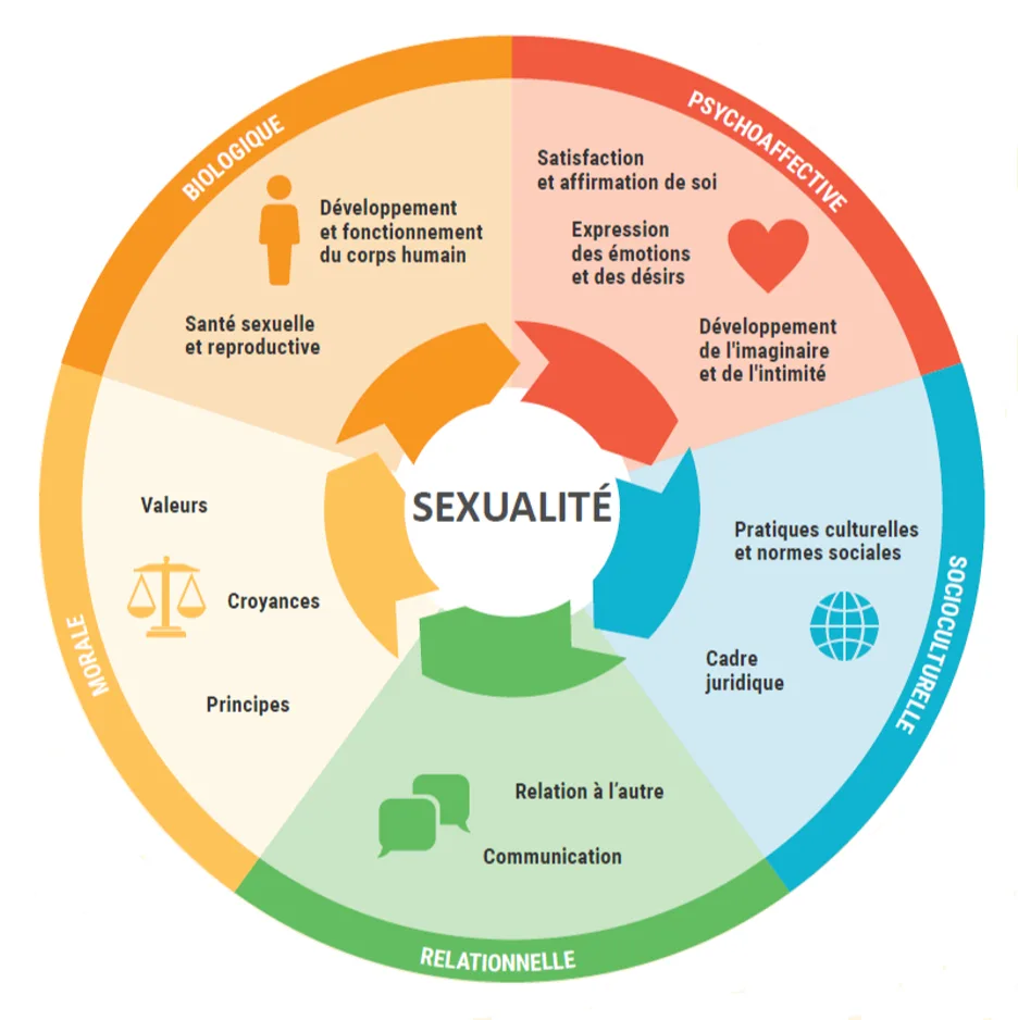 Prendre soin de sa santé sexuelle pour mieux se rétablir