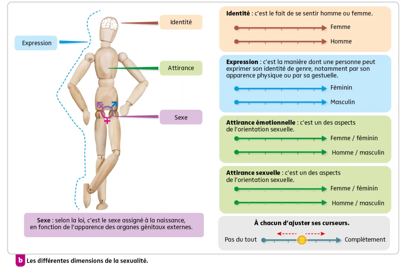 Qu&rsquo;Est Ce Que L&rsquo;Intimité: Définition De L&rsquo;Intimité Selon L&rsquo;Oms &ndash; LGEJ