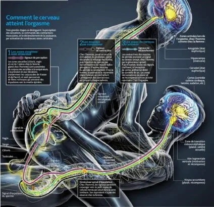 Les mystères de l'orgasme féminin