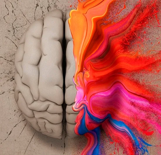 Synesthésie, quand les sens s'emmêlent - KA&mldr;